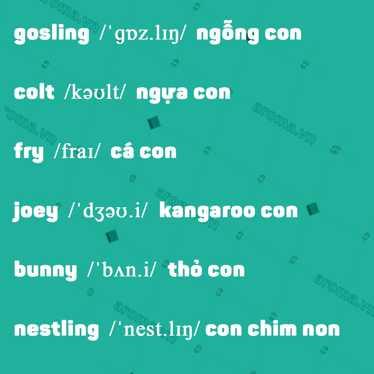 cach-goi-ten-dong-vat-nho-trong-tieng-anh-2