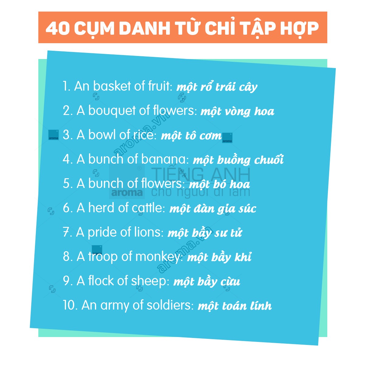 cum-tu-chi-bay-dan-1