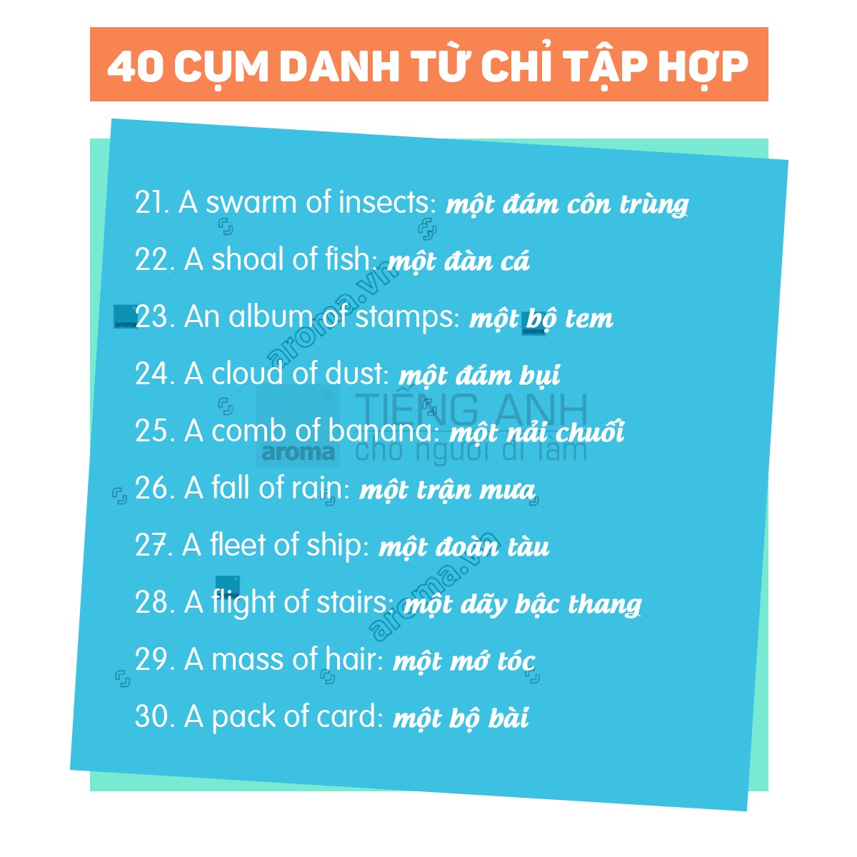 cum-tu-chi-bay-dan-3