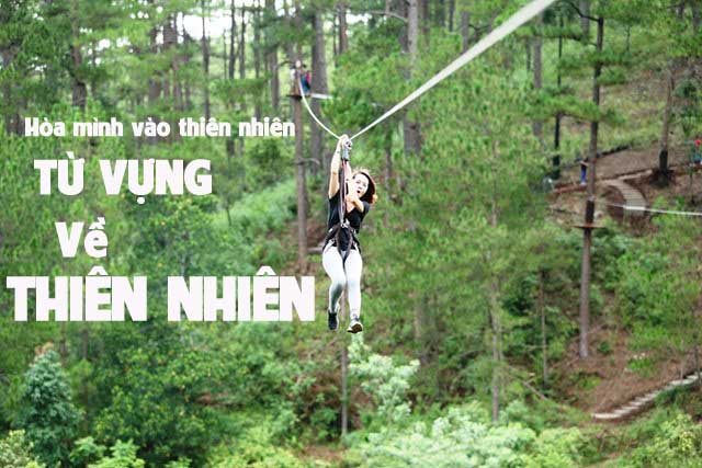 thien-nhien-new