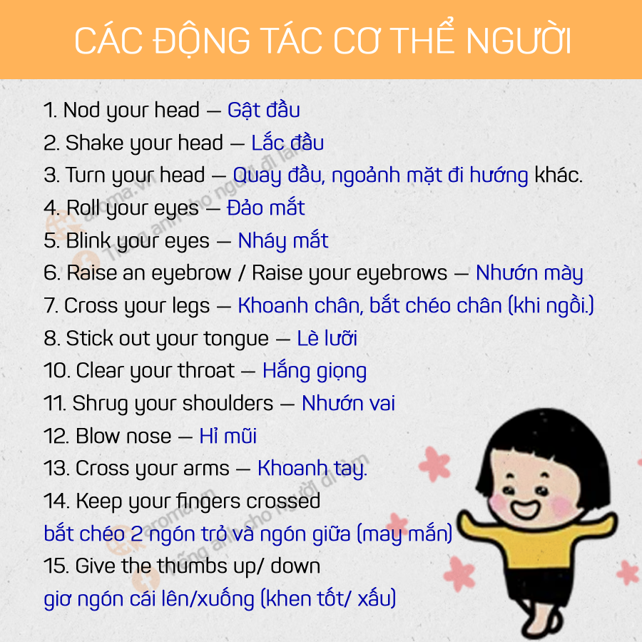 cac-dong-tac-co-the-nguoi