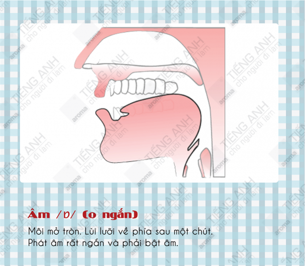 Cach Phat Am Cac Nguyen Am Trong Tieng Anh (13) - Tiếng Anh Nhanh