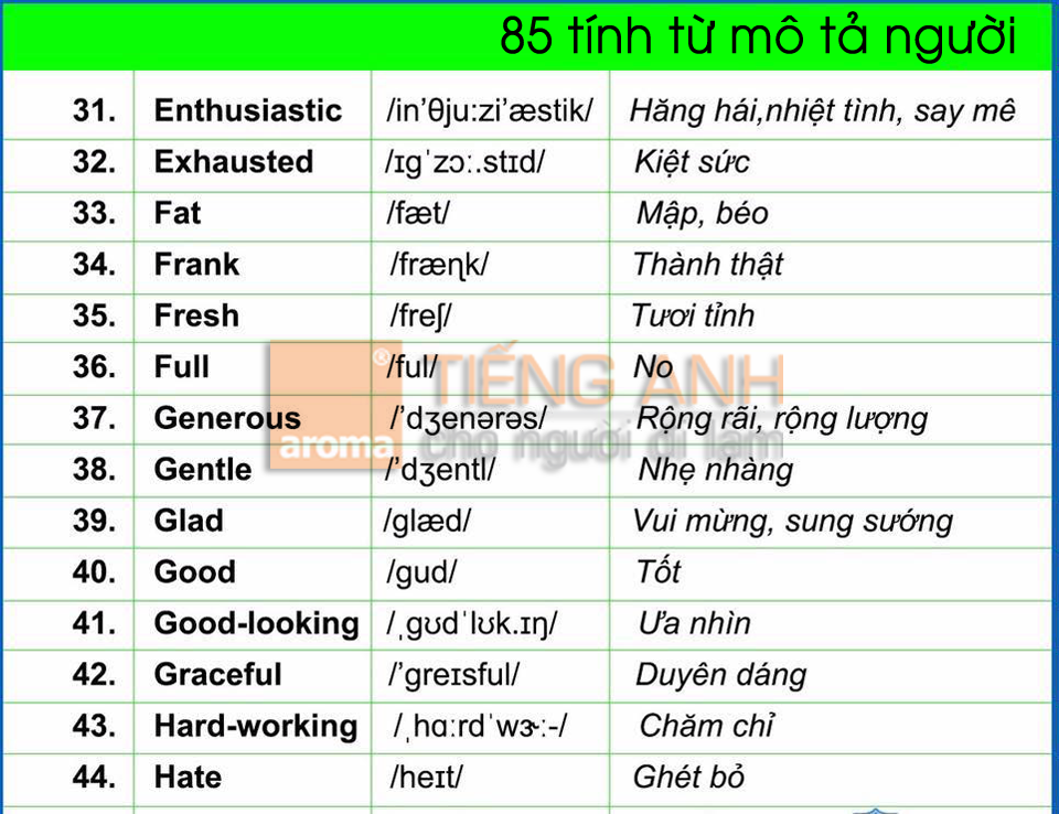 tinh-tu-mieu-ta-nguoi-2