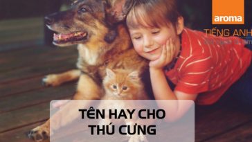 ten-hay-cho-thu-cung